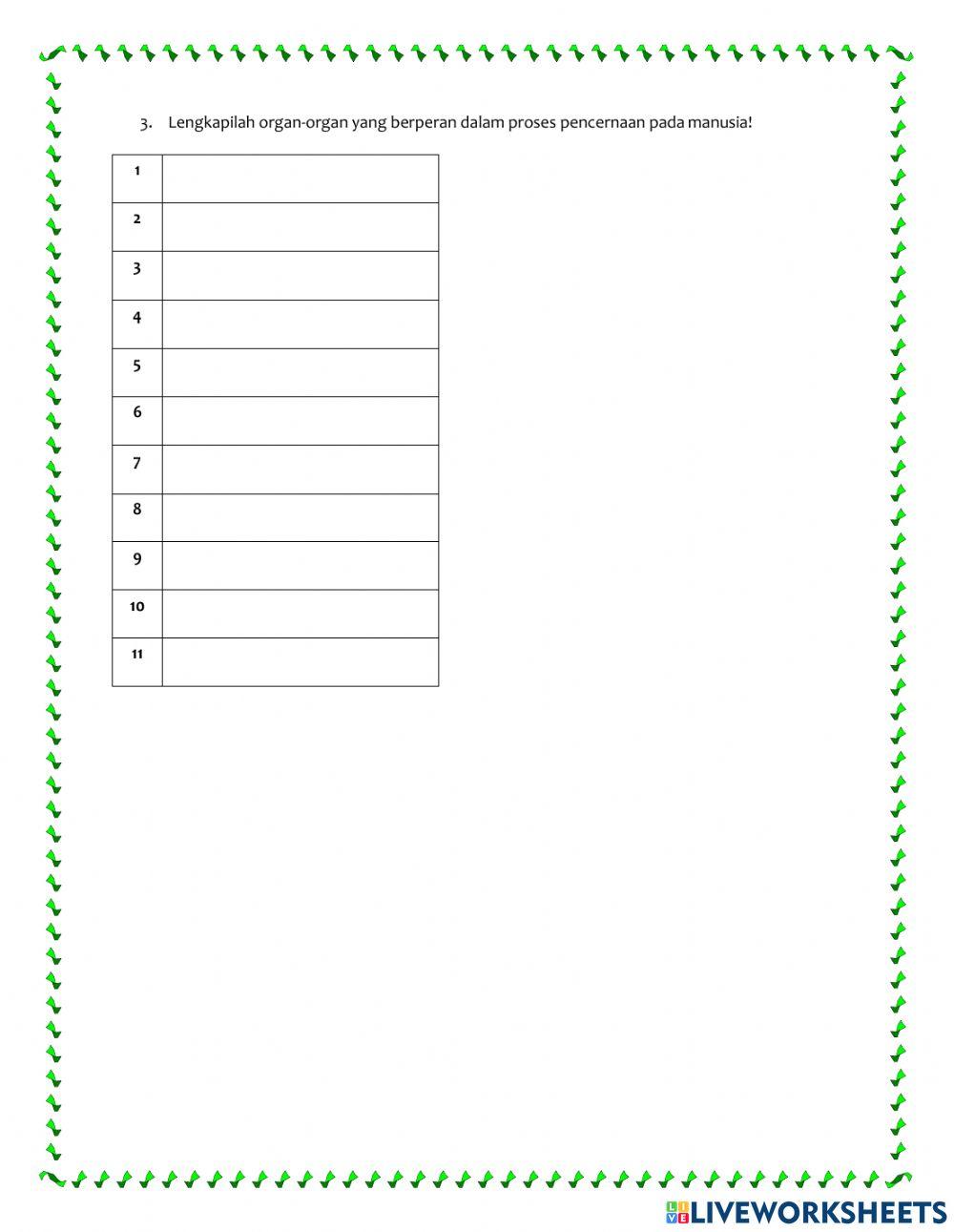 Lkpd up sistem pencernaan