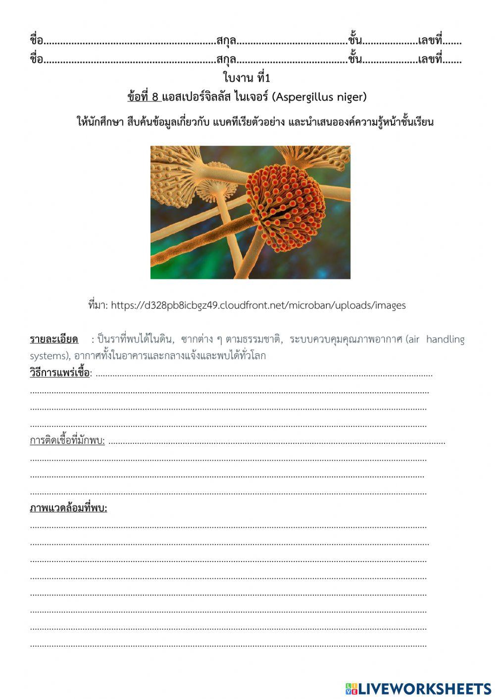 ใบงานที่ 1 ข้อที่ 8