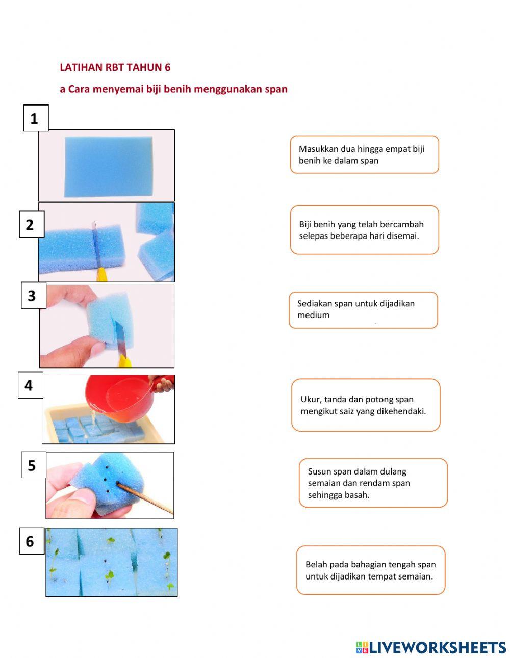 Penyemaian Biji benih menggunakan Span