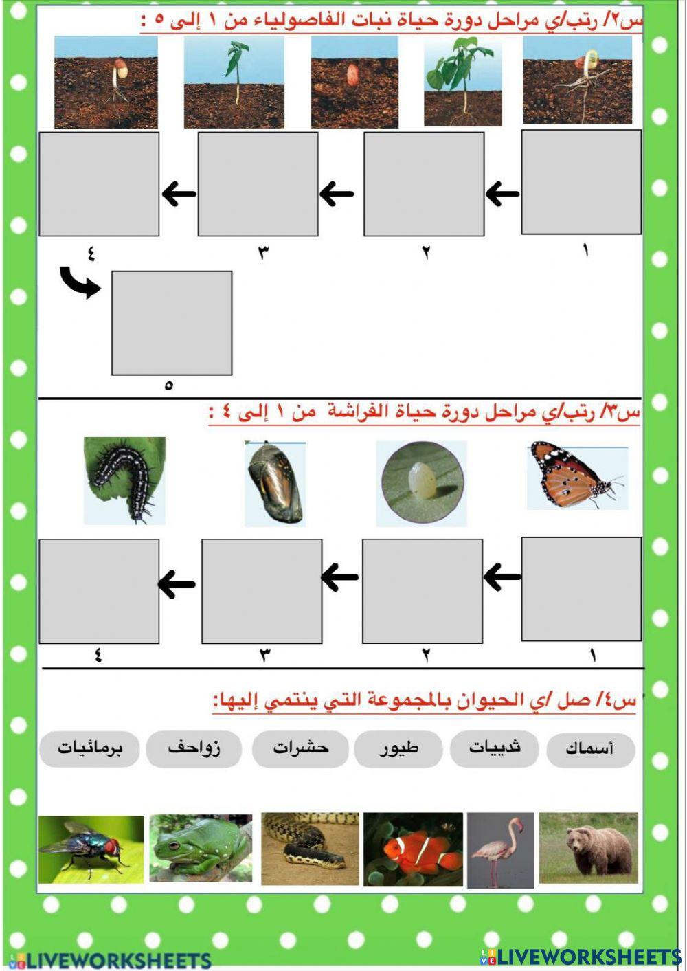الفاقد التعليمي للصف الثاني ... الوحدة الاولى