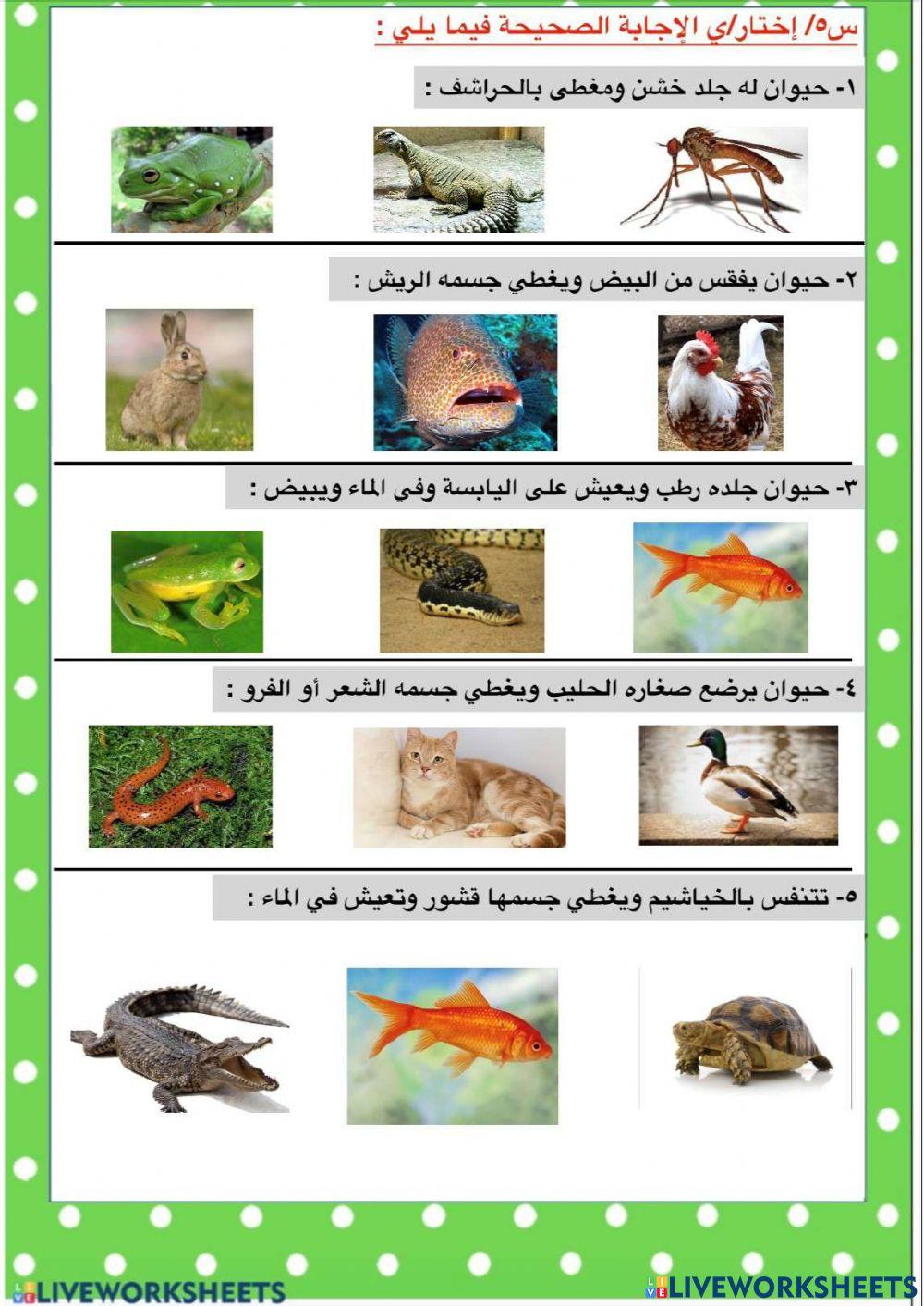 الفاقد التعليمي للصف الثاني ... الوحدة الاولى