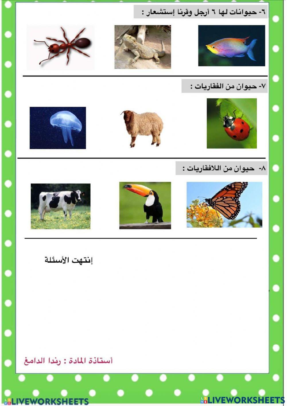 الفاقد التعليمي للصف الثاني ... الوحدة الاولى