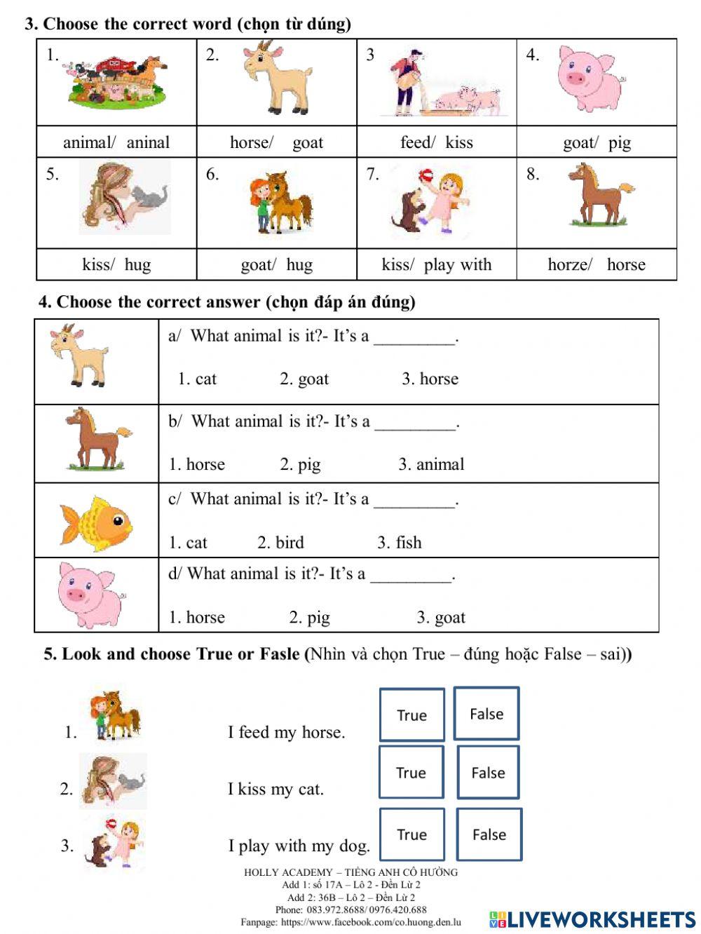 Ice-cream WS 13-animal-6.11