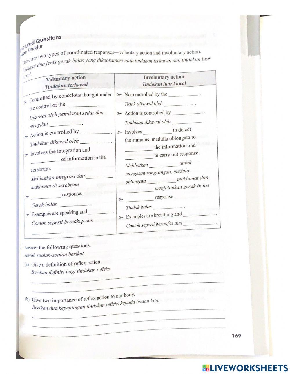 voluntary-and-involuntary-actions-3137-amiramustaffa