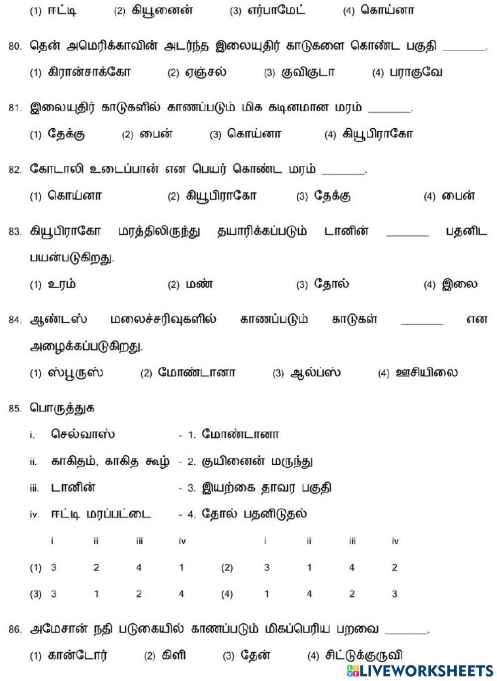 8. கண்டங்களை ஆராய்தல் (தென் அமெரிக்கா)-3