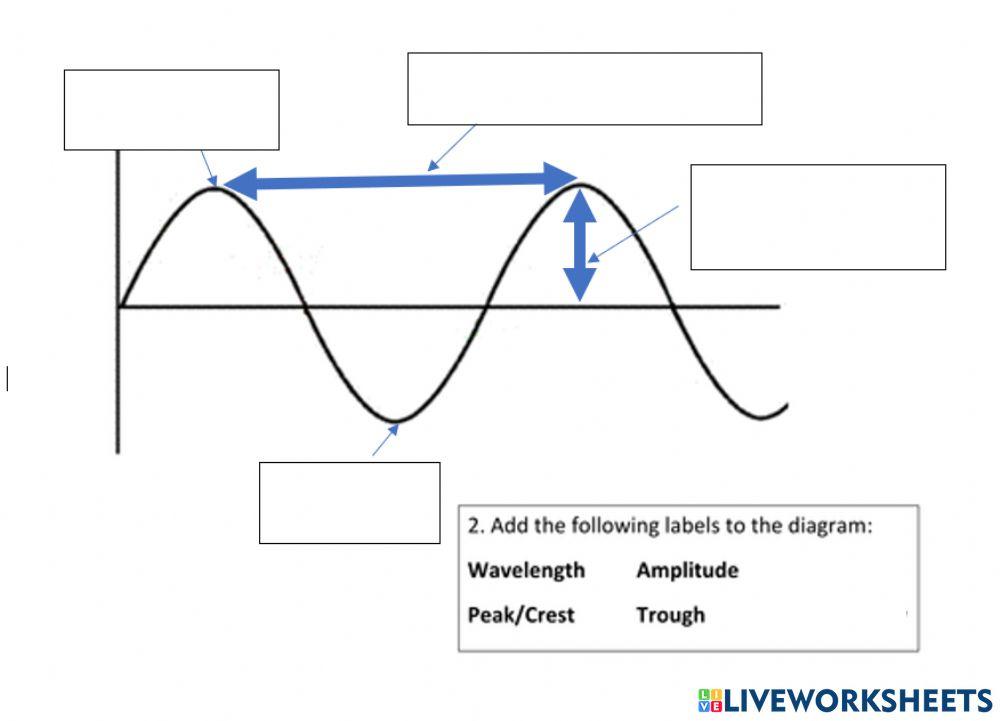 wave parts worksheet online exercise for Live Worksheets