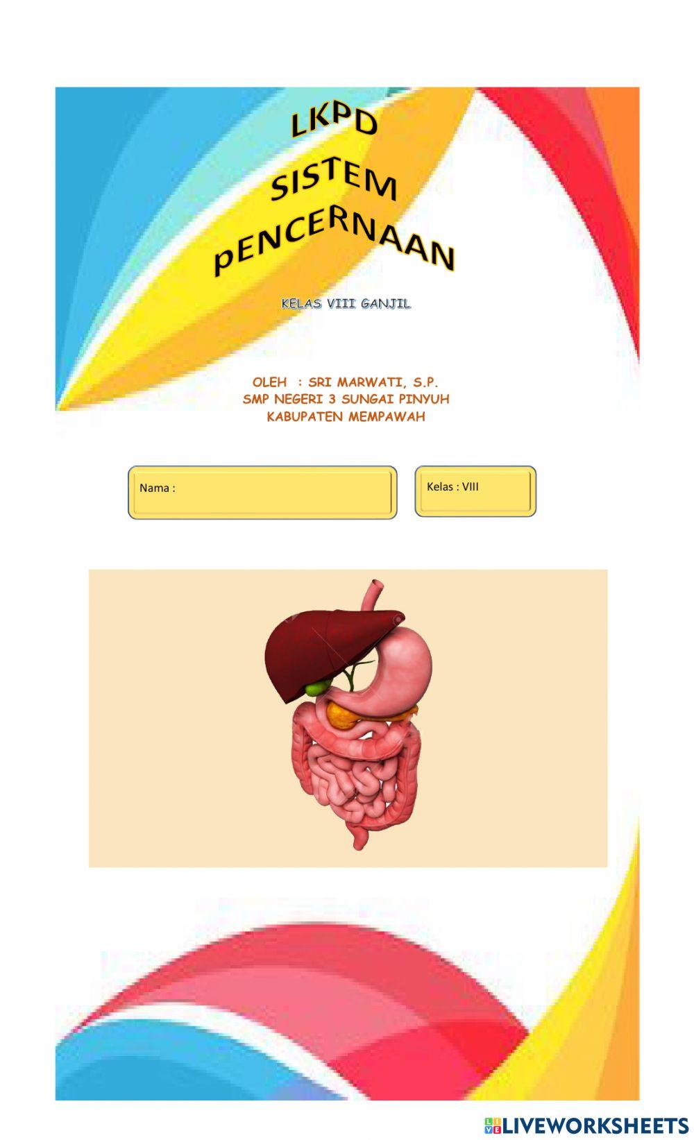 Lkpd interaktif sistem pencernaan