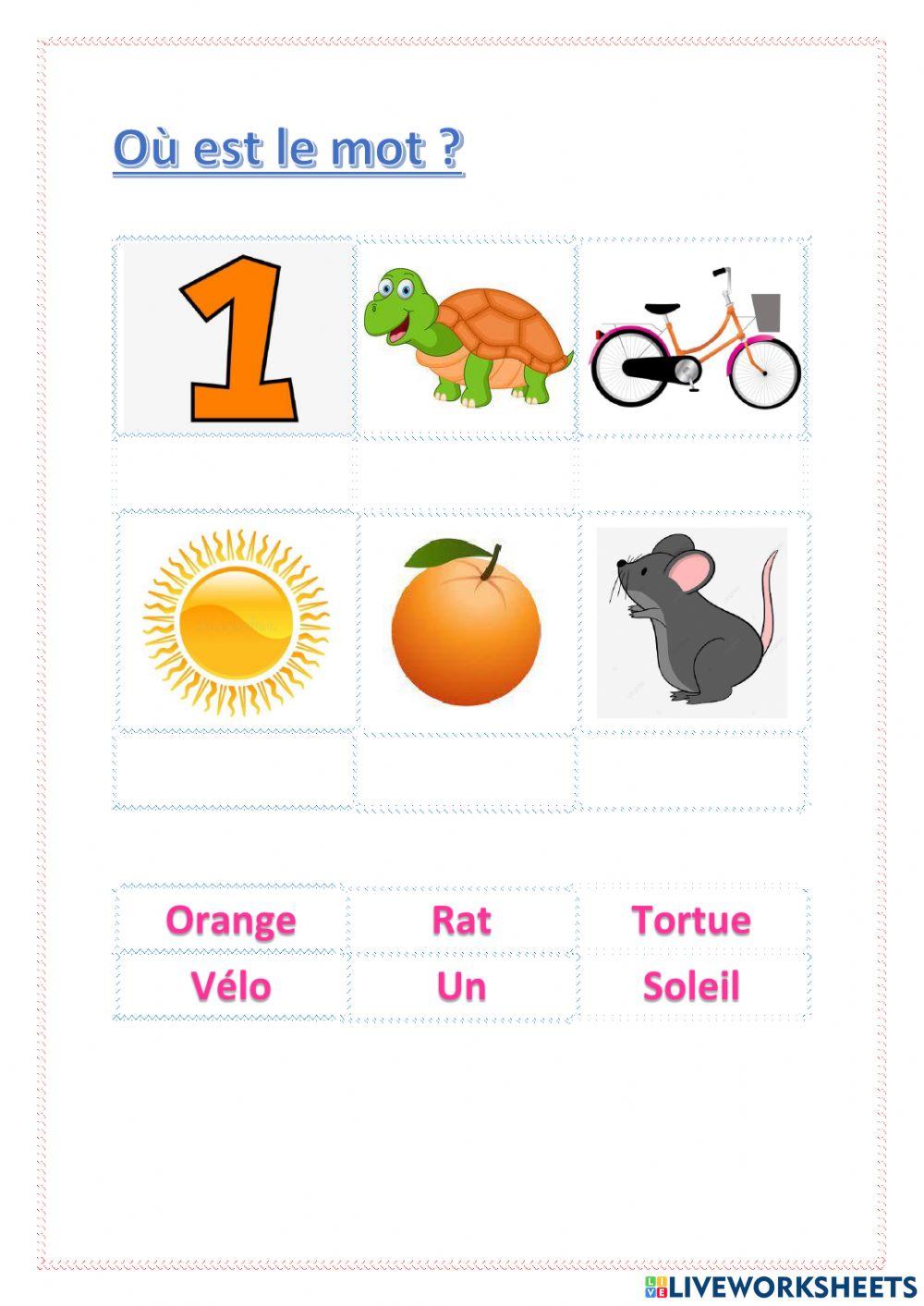 Quiz l'alphabet vocabulaire
