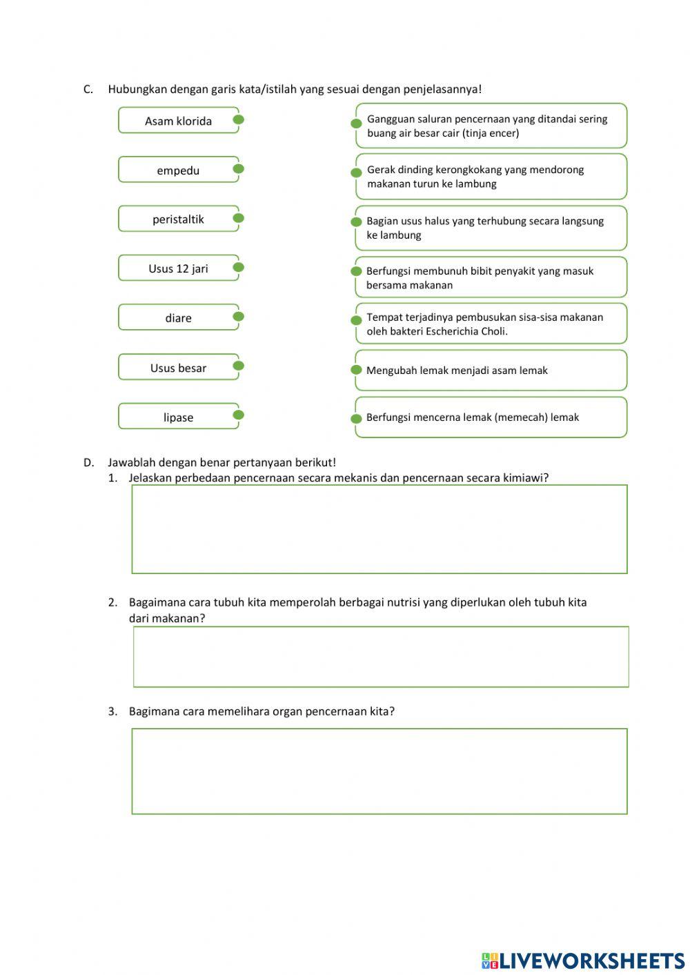 UK IPA Tema 3-NEW2021