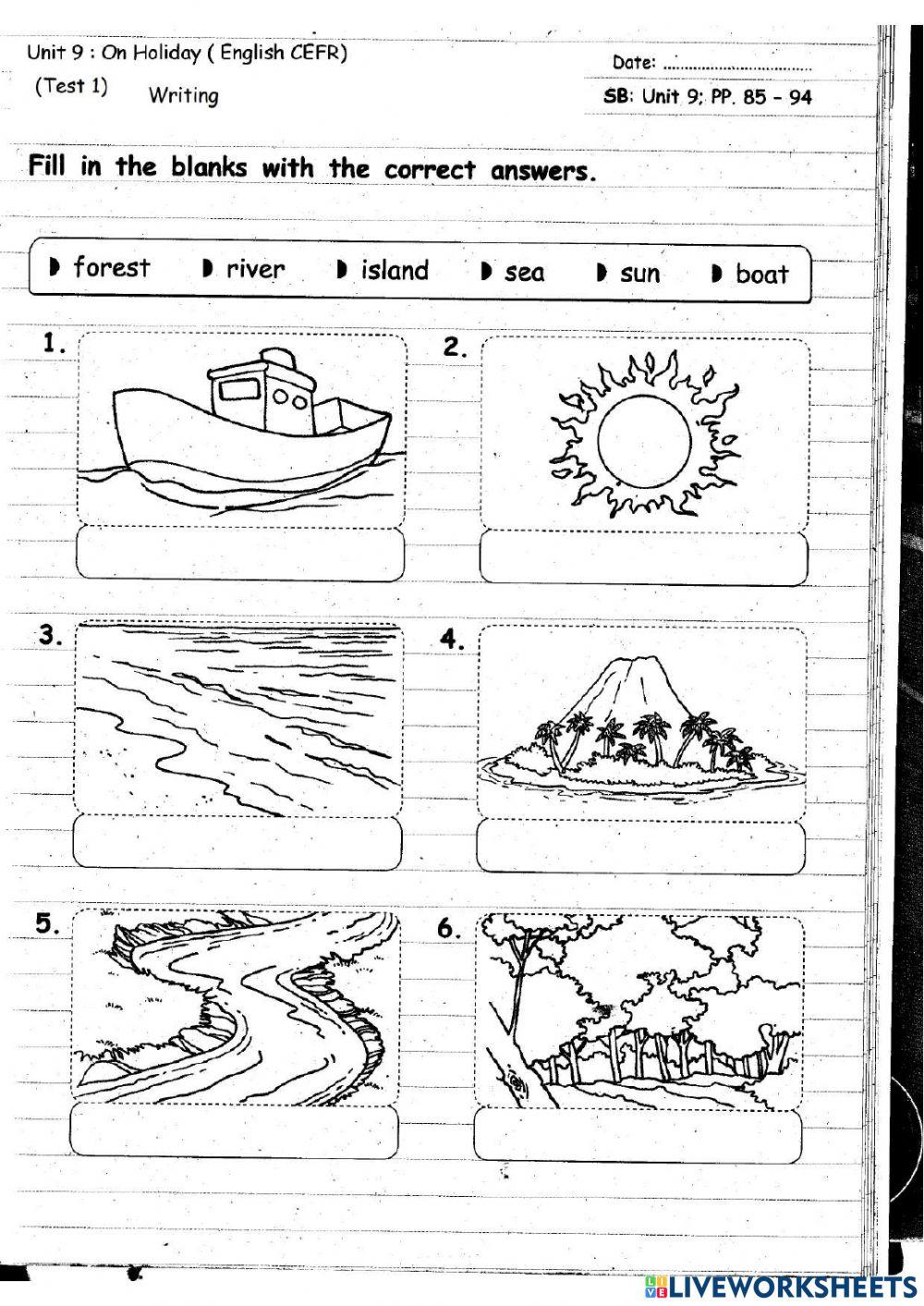 Module 9 Year 3 Test