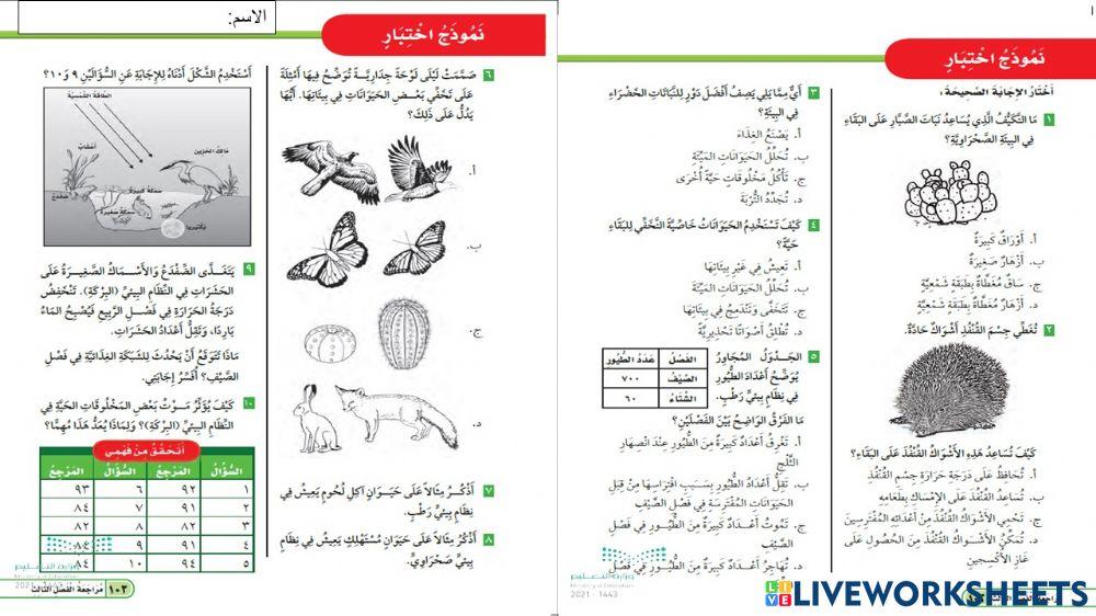نموذج اختبار مراجعه الفصل الثالث