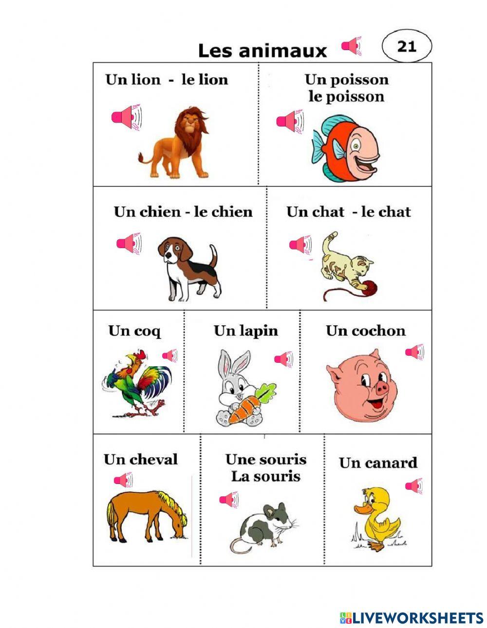 A3 - Animaux - tranh 21