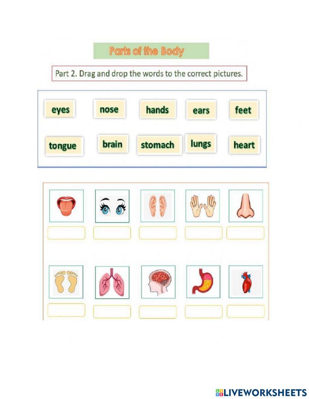 Healthy and Unhealthy foods
