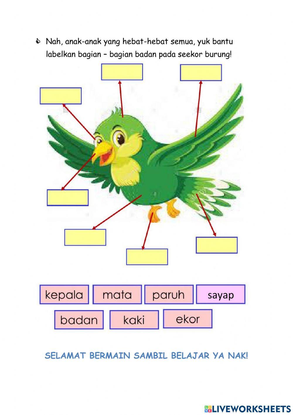 Tema binatang burung