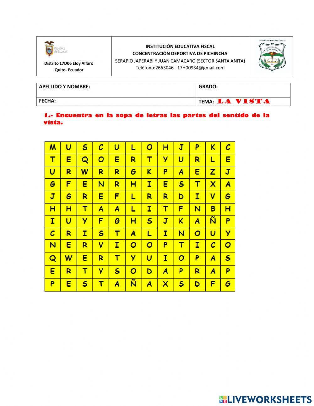 El sentido de la vista