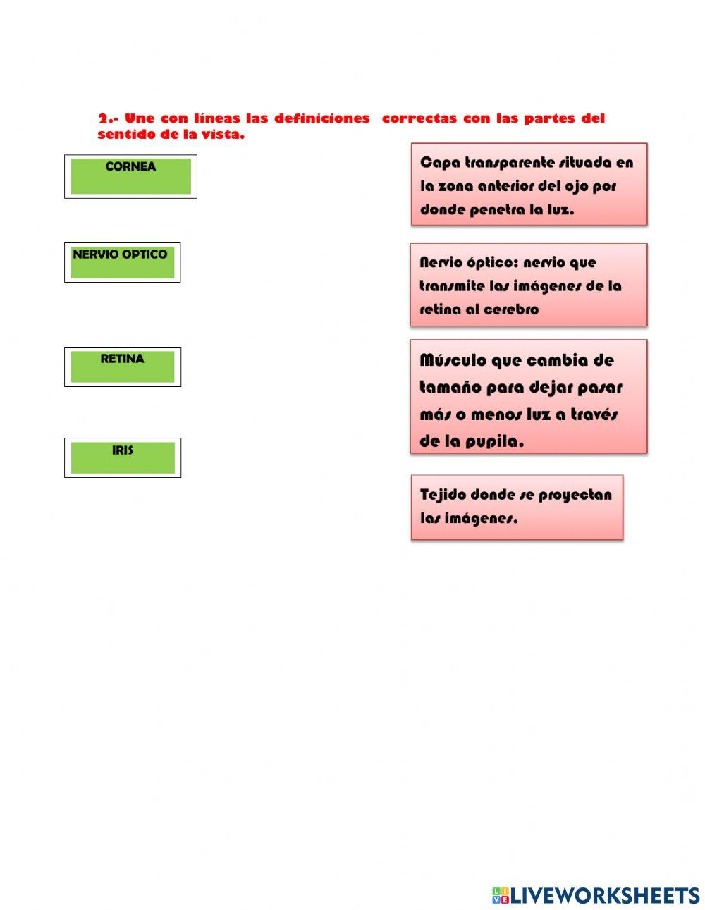 El sentido de la vista