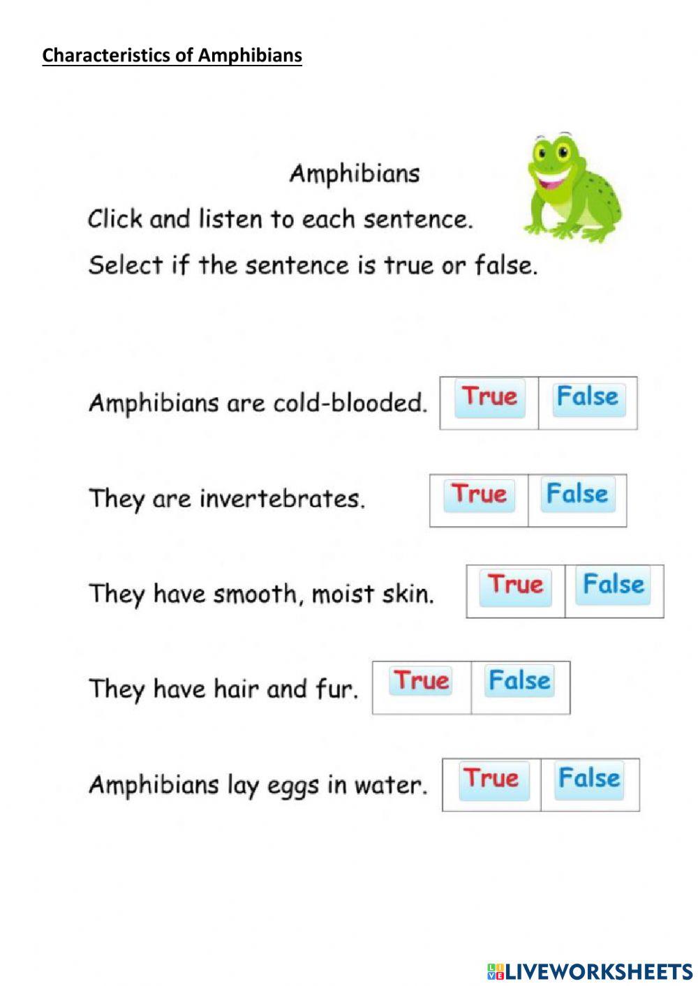 Characteristics of birds and amphibians worksheet