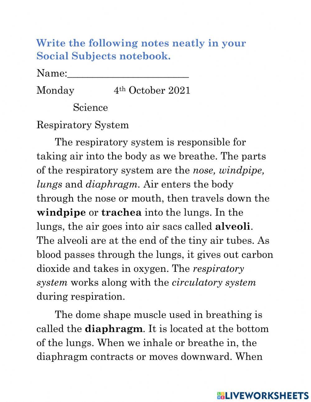 Respiratory System Notes