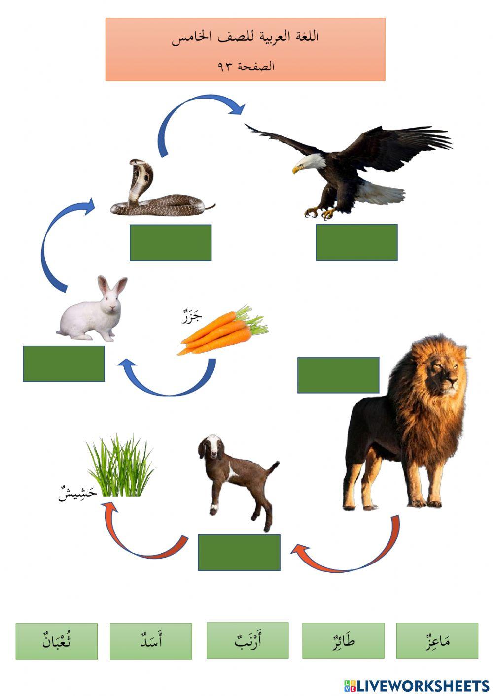 رِفْقًا بِالْحَيَوَانَاتِ