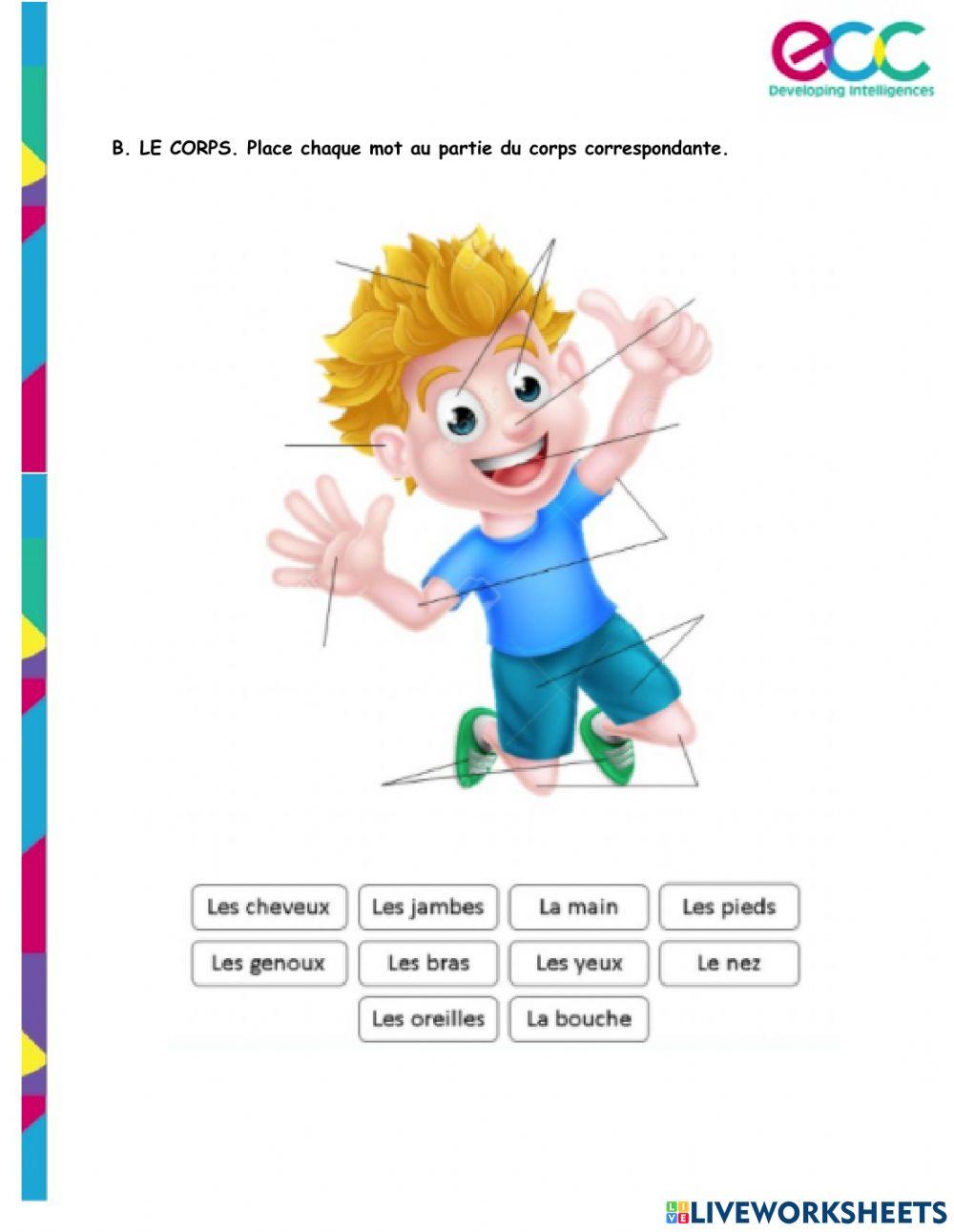 Examen de Francais 4eme Classe