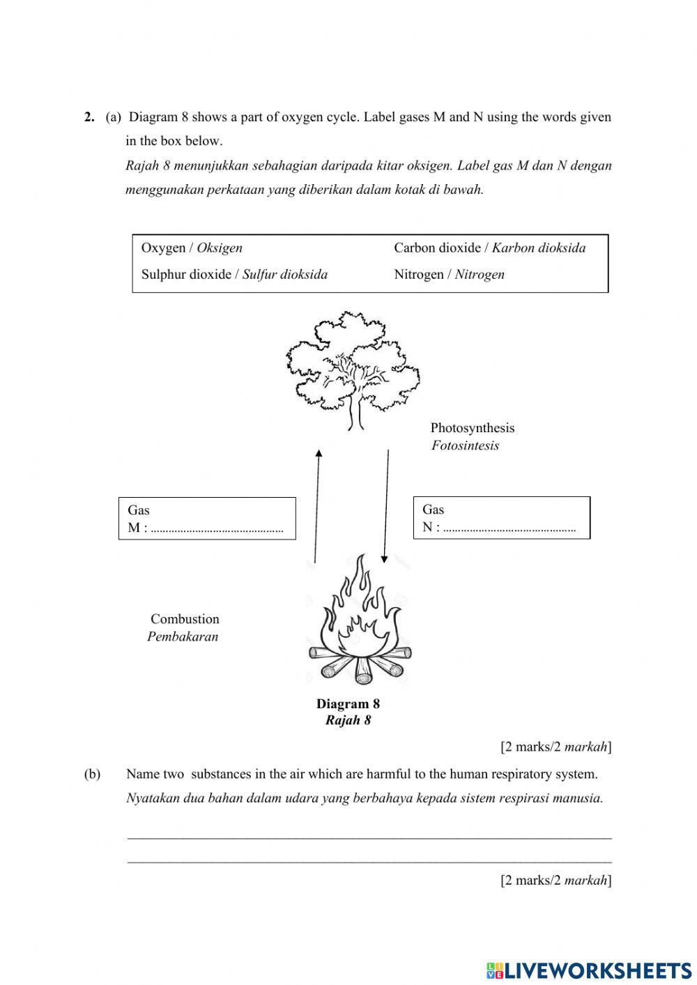 Pentaksiran ujian oktober