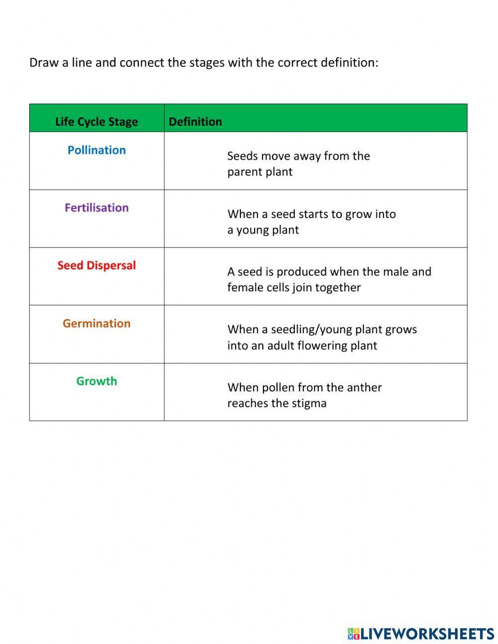 Life cycle of a Flowering Plant