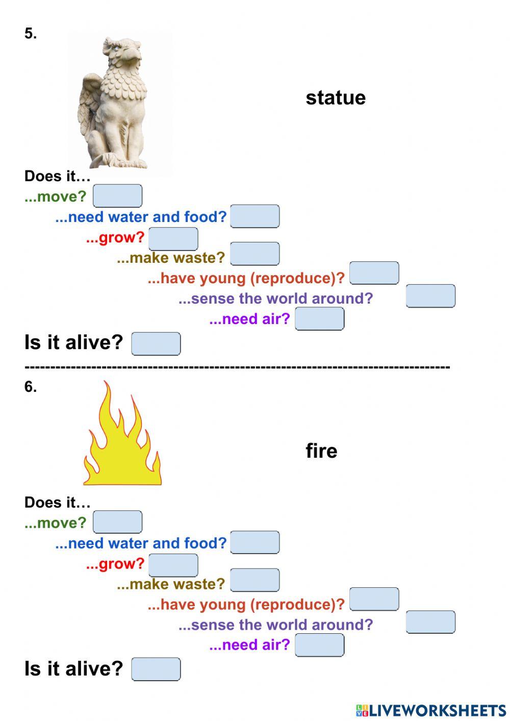 Living vs Non-Living Things