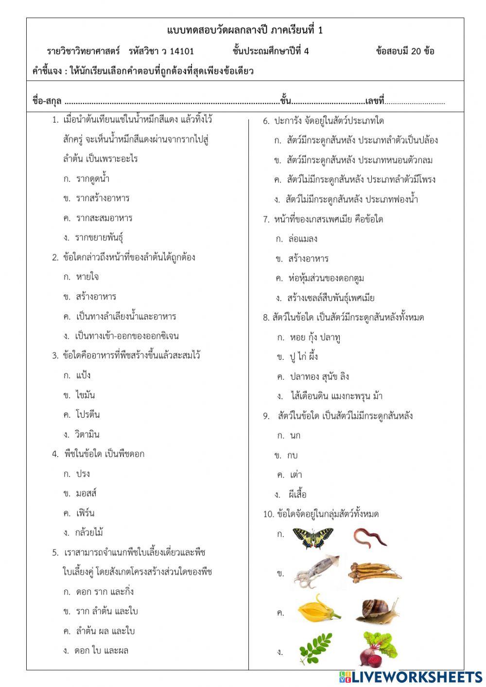 แบบทดสอบกลางปี