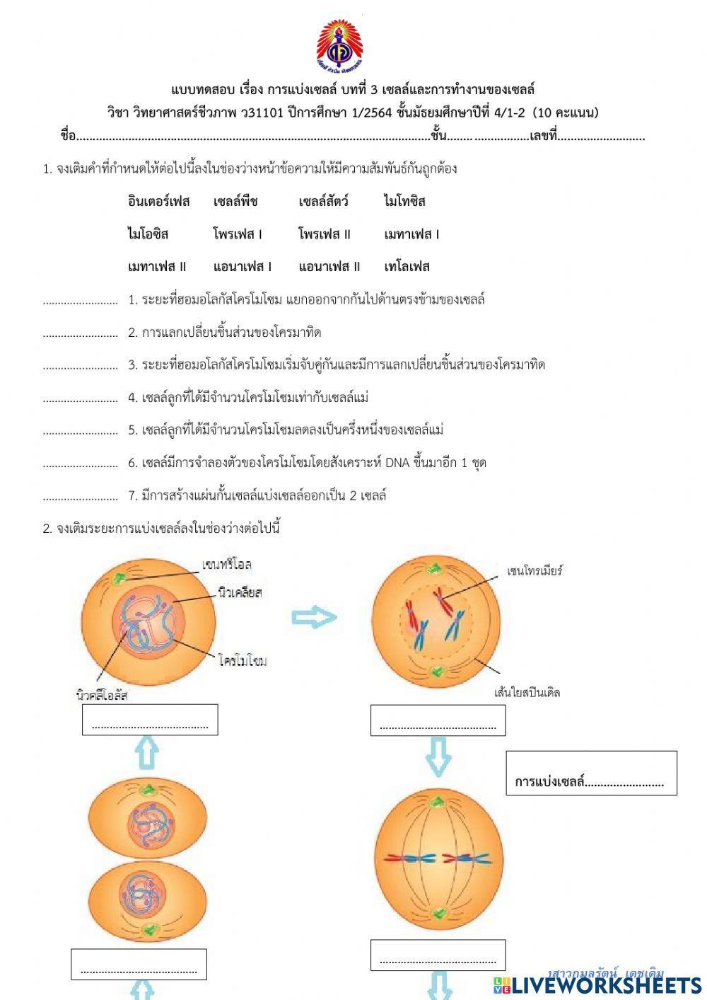 แบบทดสอบ บทที่ 3 การแบ่งเซลล์