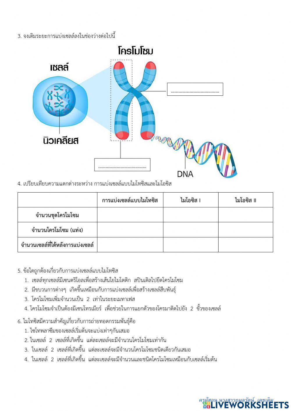 แบบทดสอบ บทที่ 3 การแบ่งเซลล์