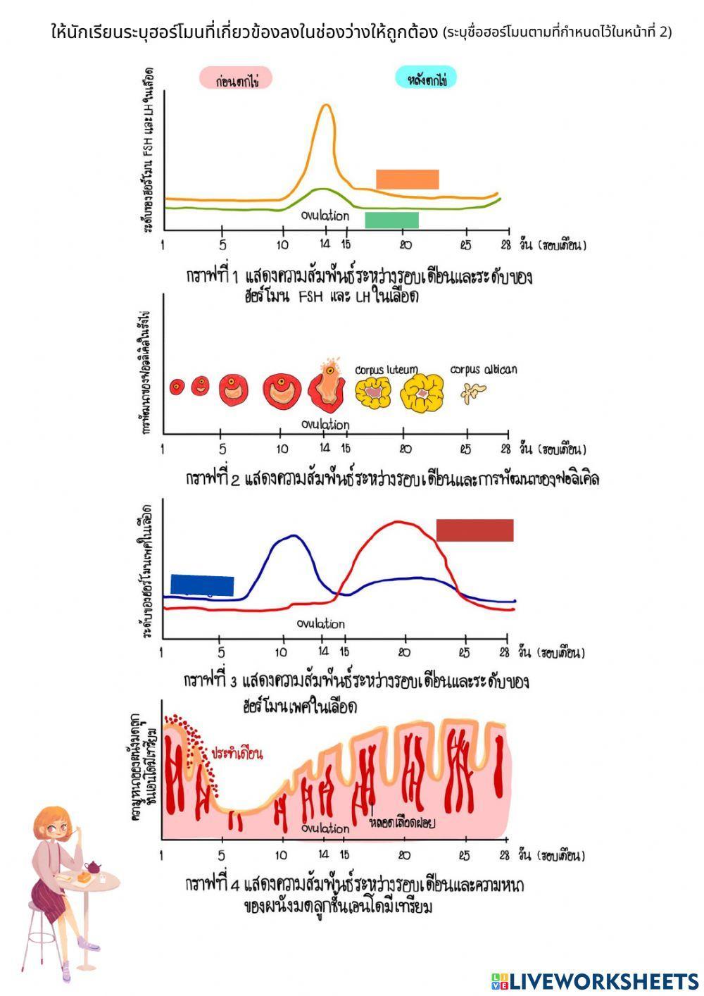 การสร้างเซลล์สืบพันธุ์ 6-1