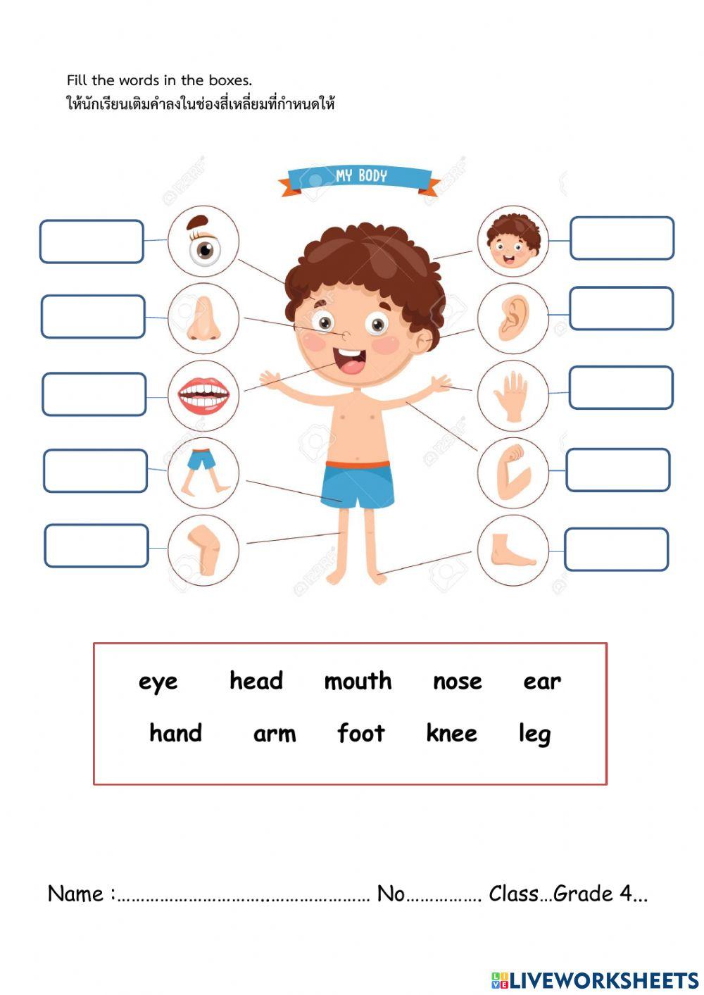 ข้อสอบปลายภาคเรียนที่ 1 ป.4
