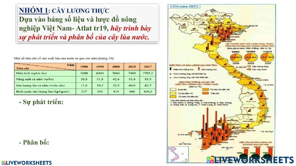 Bài 8 DL9. Cây lương thực