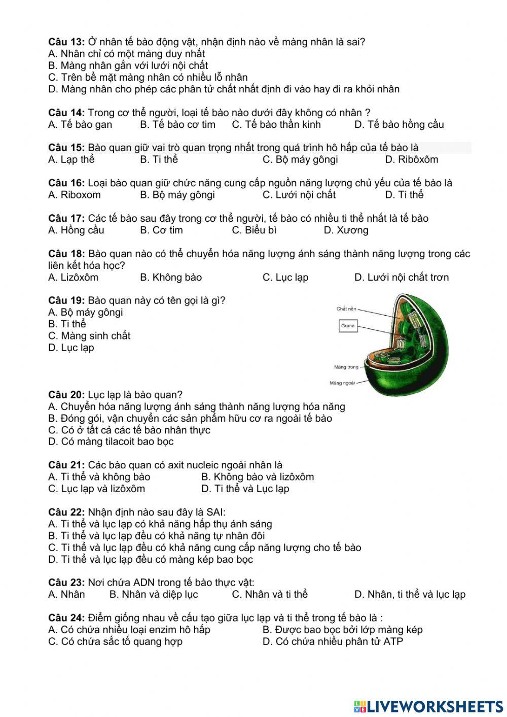 Ôn tập tế bào nhân thực