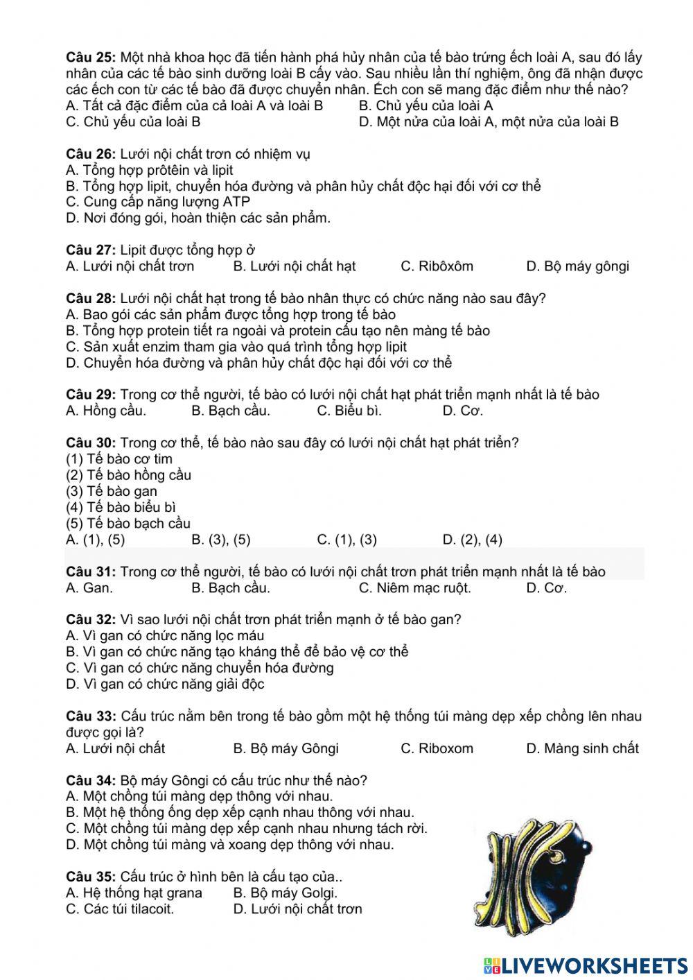 Ôn tập tế bào nhân thực