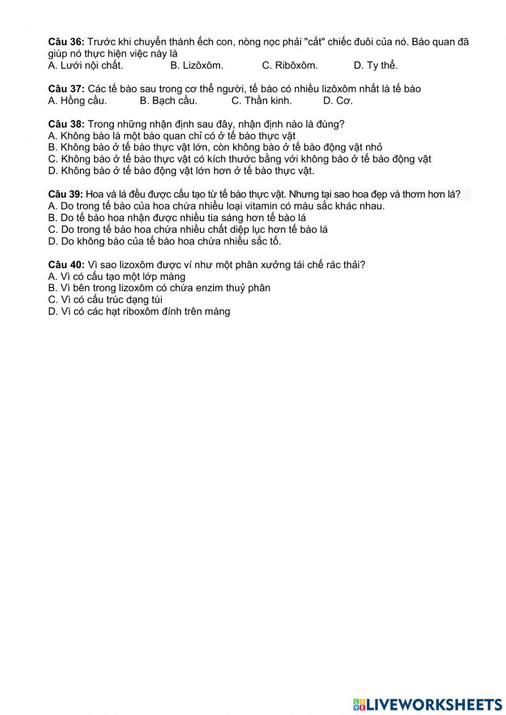 Ôn tập tế bào nhân thực