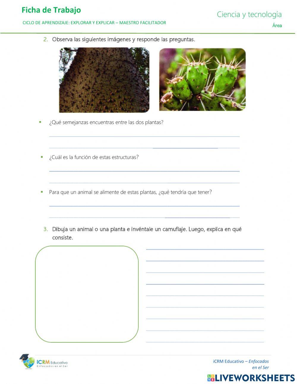 La adaptación de los animales