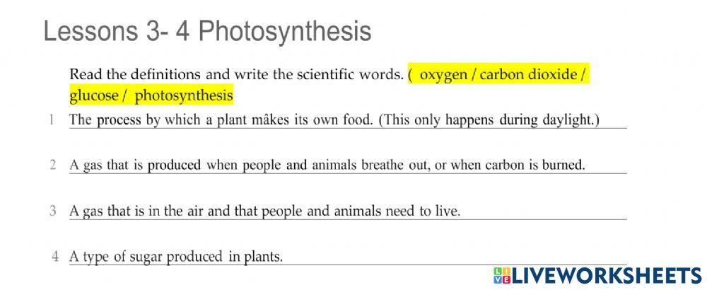 Photosynthesis