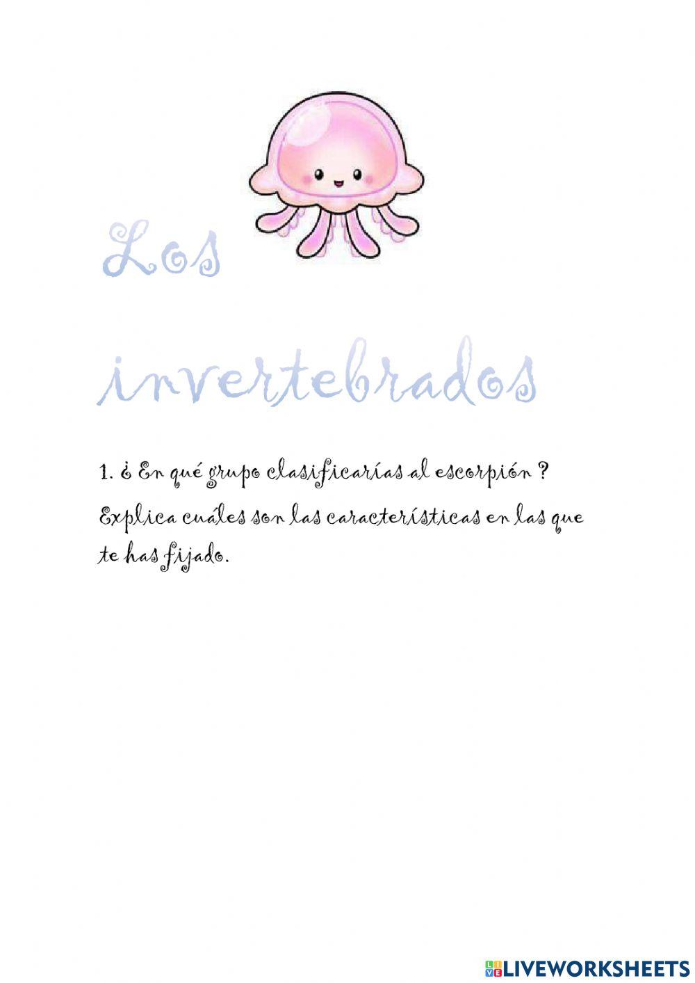 Los animales invertebrados