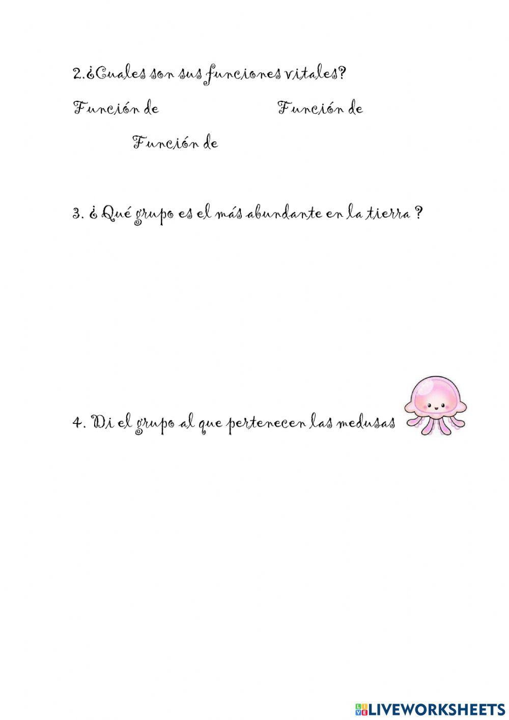 Los animales invertebrados