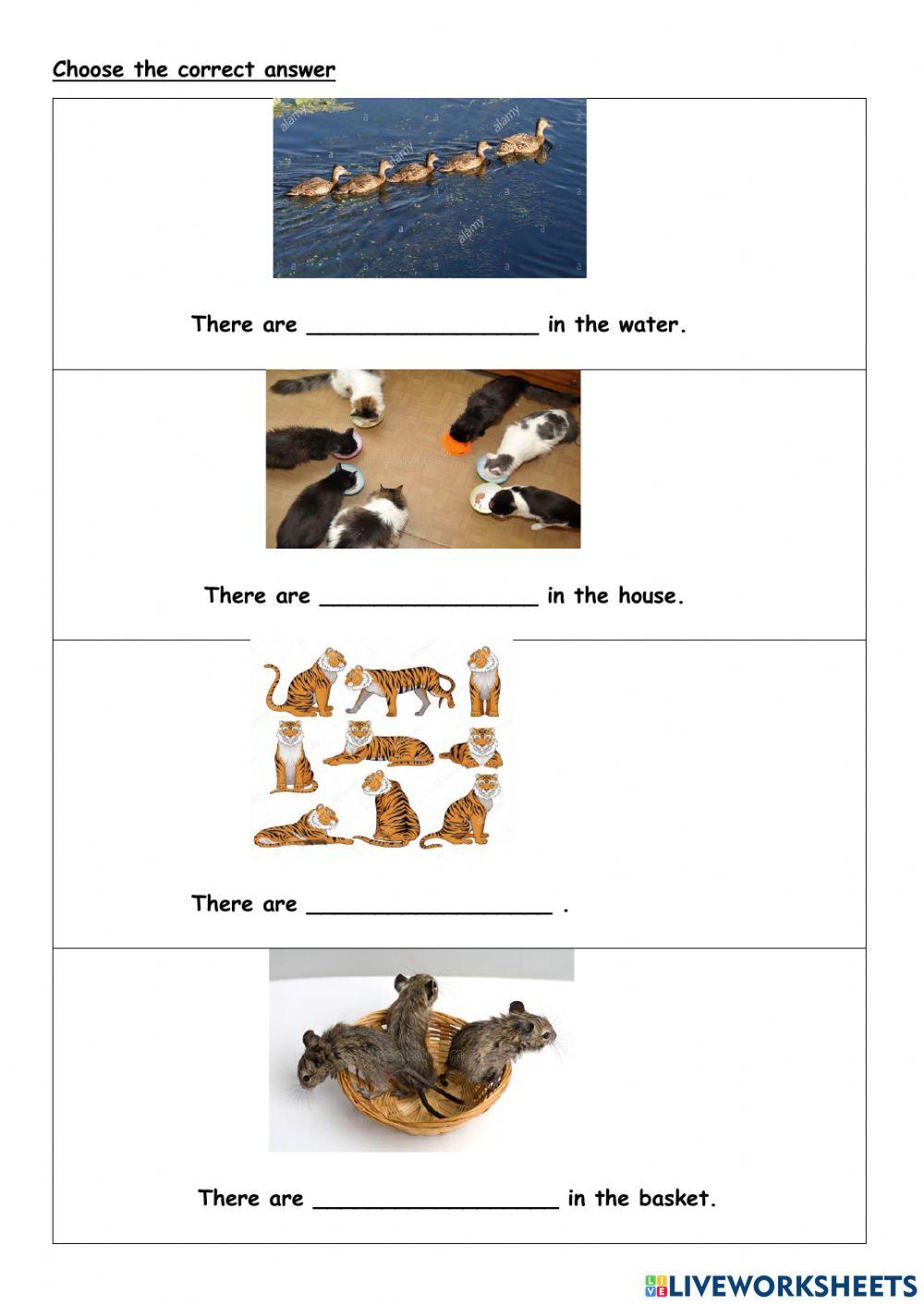 Numbers of animals Numbers of animals