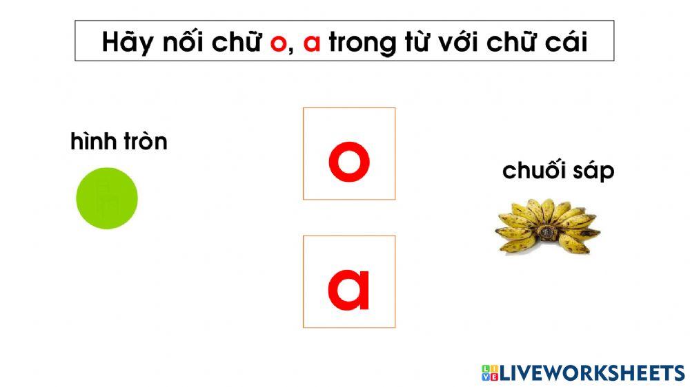 Bài tập nôi chữ