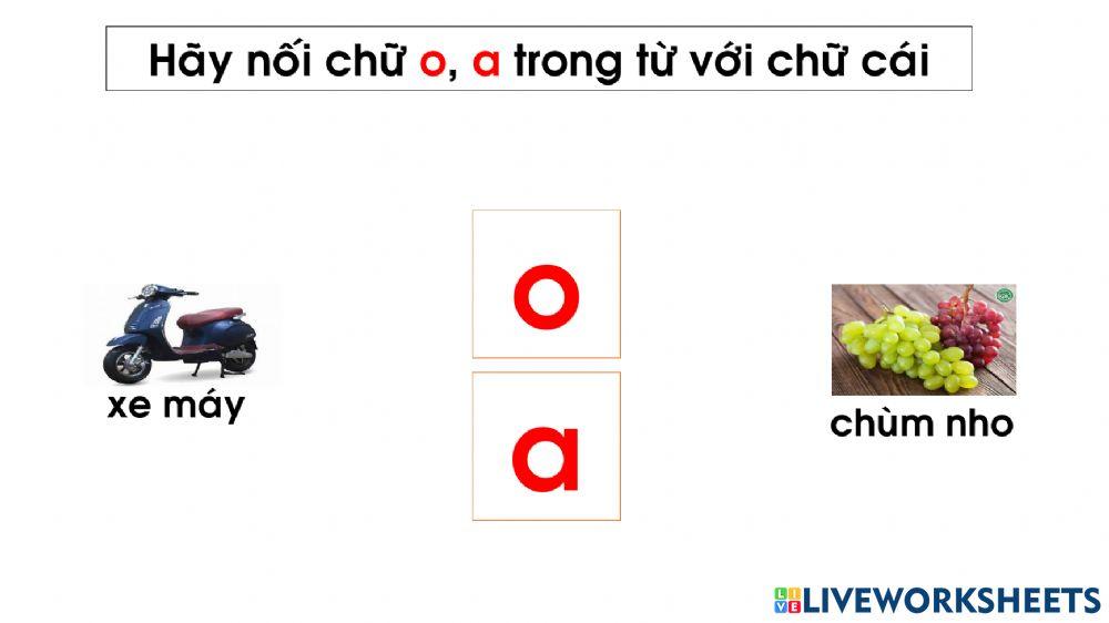 Bài tập nôi chữ