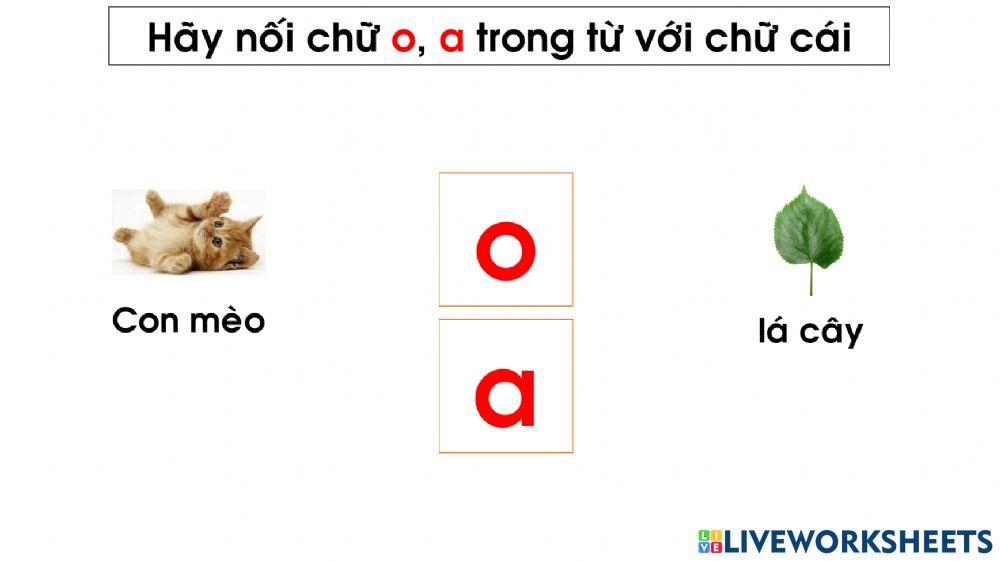 Bài tập nôi chữ