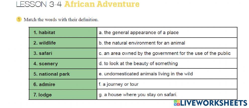 African adventure