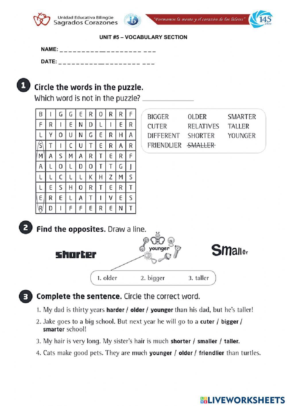 Vocabulary 5 Introduction