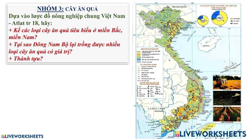 Bài 8 ĐL9 Cây ăn quả