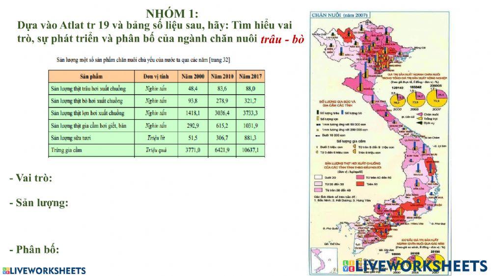 Bài 8 DL9 CHĂN NUÔI TRÂU-BÒ