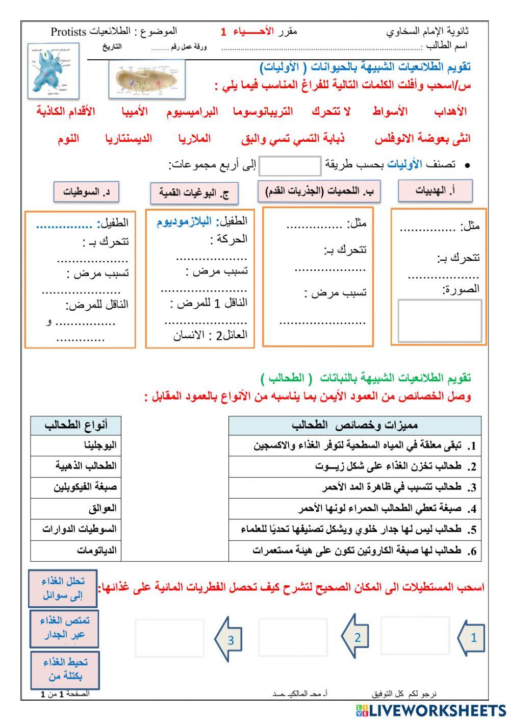 تنوع الطلائعيات تفاعلية
