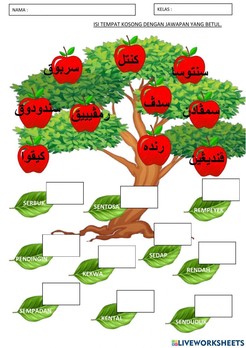Latihan jawi tahun 1
